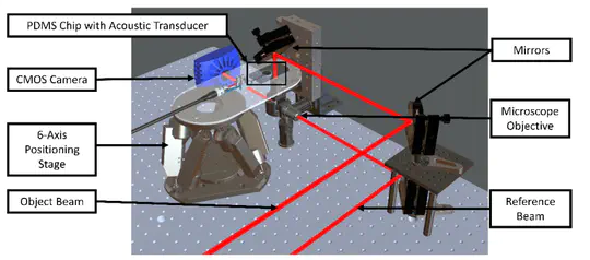 Cell Stiffness Measurement with Acousto-Holographic Microscope