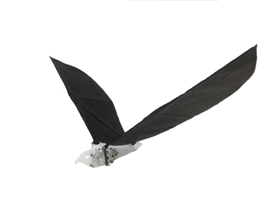 Flapping Wing UAV (Ornithopter)