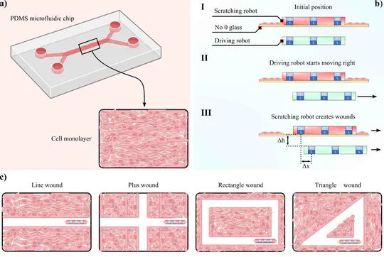 Microrobotic Platform for Wound Scratching