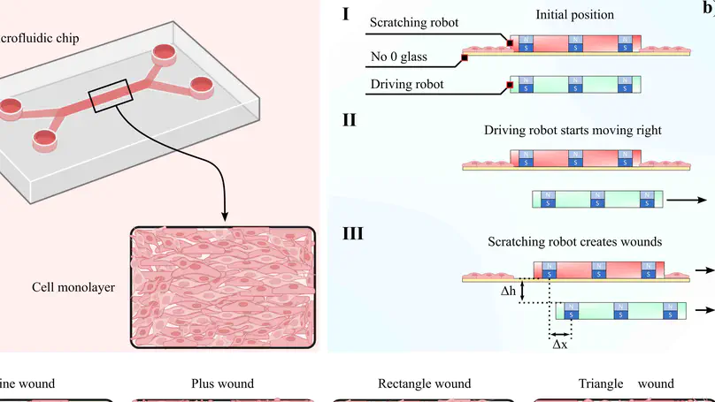 Microfluidic wound scratching platform based on an untethered microrobot with magnetic actuation